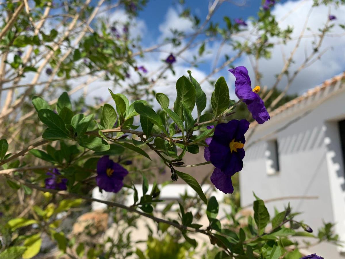 Finca Bona Nit Jávea Kültér fotó